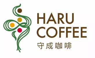 誰說成都只有七張面孔 我淪陷在她的這一面